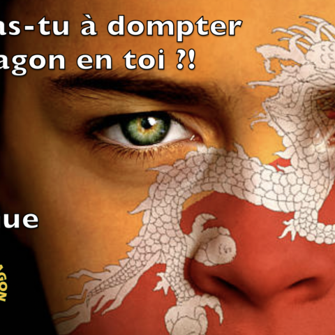 Auras-tu le courage ?