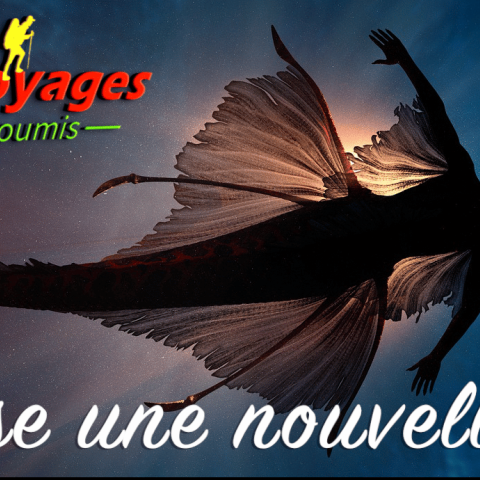 voyages-insoumis-nouvelle-epopee